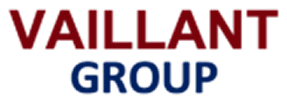 Vaillant group1 1